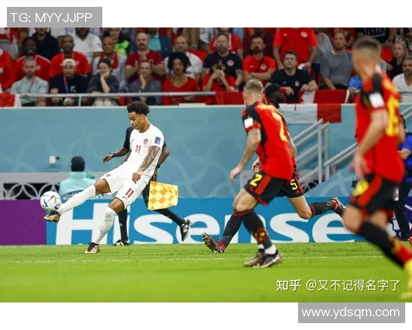 瑞典与法国上半场精彩对决分析及战术解读